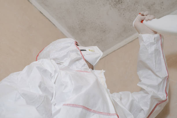 Best Crawl Space Mold Removal  in Redwater, TX