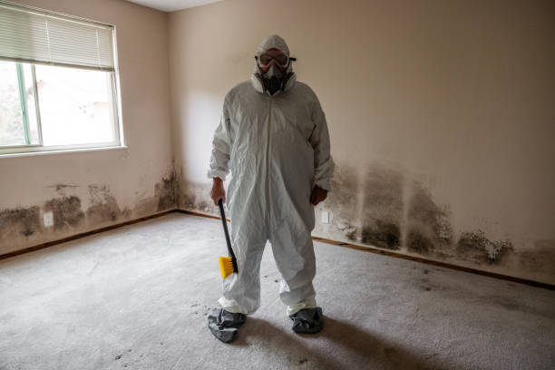 Best Local Mold Removal Service  in Redwater, TX